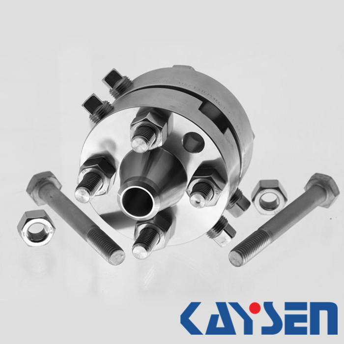 ASME B16.36 orifice weld neck flange Exploded View